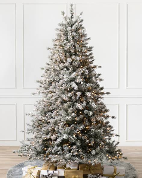 Frosted Sugar Pine Tree